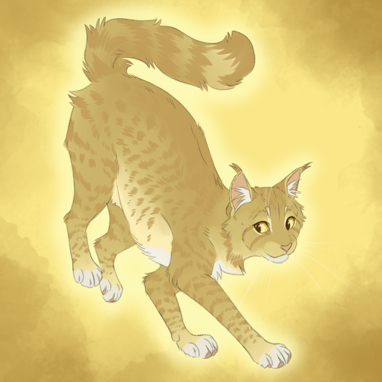 Slugs genetically accurate cats — Ashfur redo (Blue spotted tabby with low  white