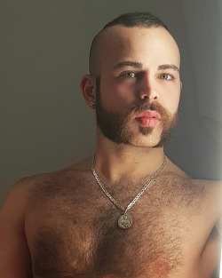 beardburnme:  Syrian.babybear instagram