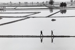 zzzze:  Gianni Berengo Gardin Vercelli,1998 Vintage gelatin silver print