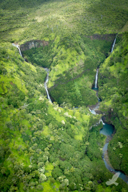 jamas-rendirse:  Kauai Water Falls By Christian Arballo 