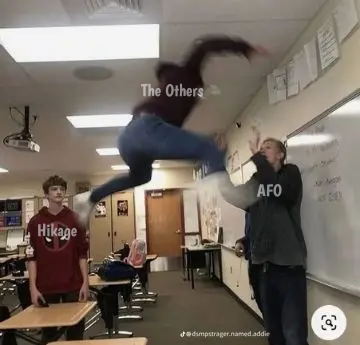 Memes