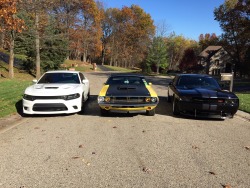 dodge:  It’s a family affair. (Photo credit: Craig B.)