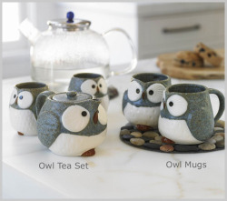 misstephanieb:  An owl tea set! <3  