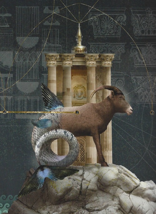 astrologicalminds:  The Zodiac Signs / Source: The Secret Language of Astrology by Roy Gillett
