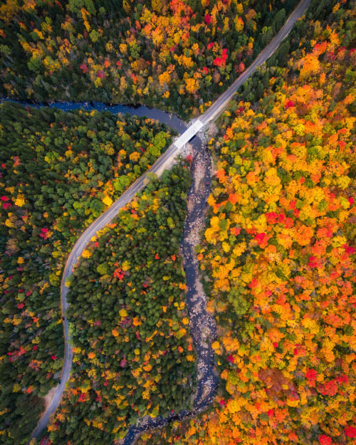 wordsnquotes:  Photographer Michael Matti and his roommate Drove Through Every State in the Northeast US to Photograph the Beauty of Autumn Keep reading  a u t u m n 