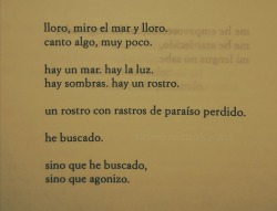 alejandrapizarnik-world:Alejandra Pizarnik. lloro, miro el mar y lloro. En esta noche en este mundo. Poemas no recogidos en libros. [03]