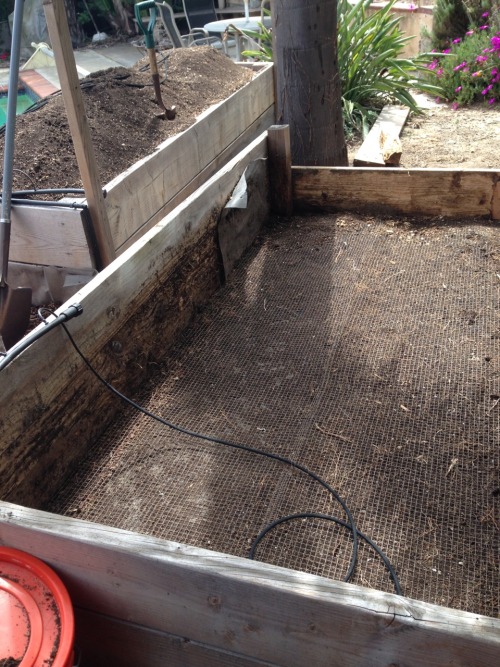 Spring planting time. This year, we had ivy growing into the planting boxes, up through the landscap