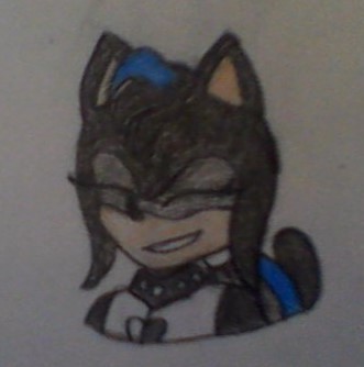 So... I Have A Sonic OC