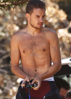 celebritymeat:  Liam Payne (One Direction)