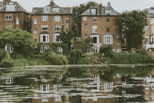 kingsoftomorrow - Hampstead Heath, London. August 2017.