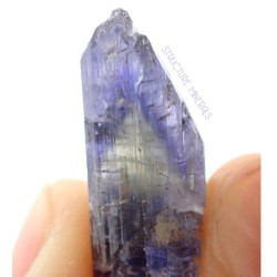 structureminerals:  Tanzanite crystal from Tanzania available StructureMinerals.com