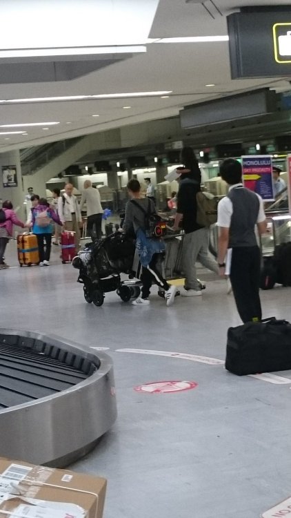 cris01-ogr: Oguri Shun and family spotted at Narita Airport (return from Hawaii??) Dad Shun is adora