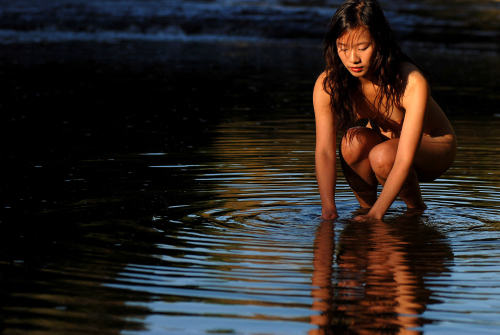 prodigalsunshine: Tsunami by Daniel Hebert Puffin Asian beauty