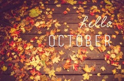 A Fall, Autumn, Halloween, Thanksgiving Blog.