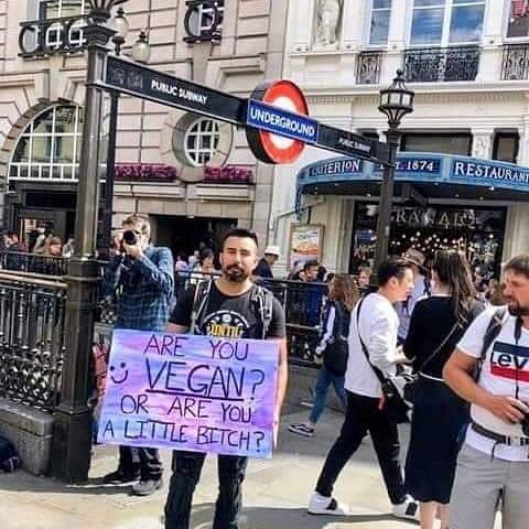 Had to share! #dintbeabitch #govegan www.instagram.com/p/B3dBDq5Hil8/?igshid=120xyb538qytv