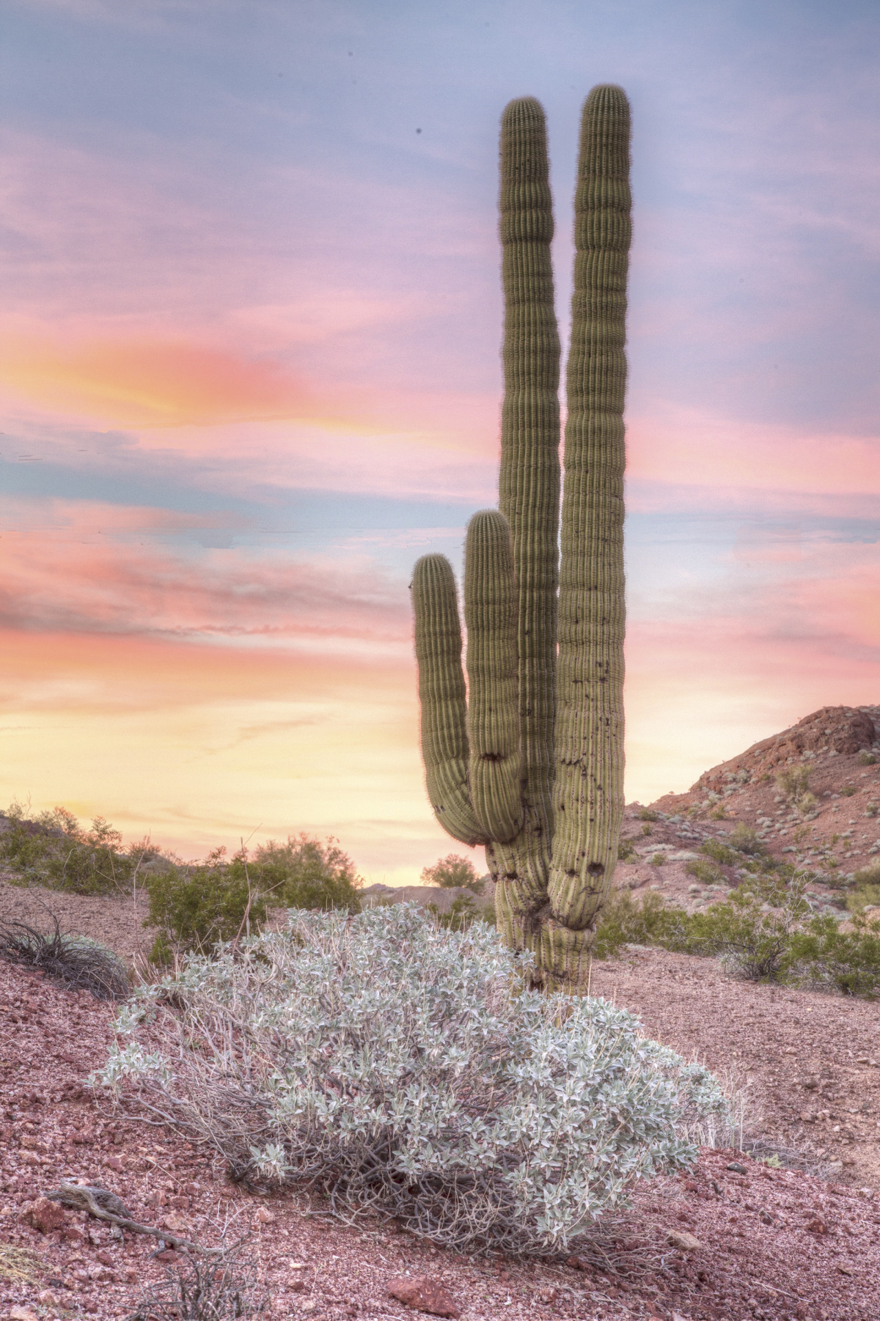 mypubliclands:The Whipple Mountains Wilderness - a part of the BLM’s National