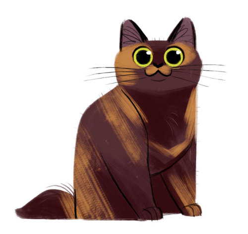 dailycatdrawings:680: Calico