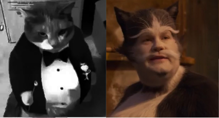 Cats 2019 As Real Cats Cause Why Not.part 3 The Toms