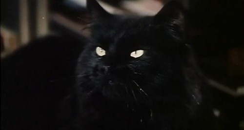 Phantom of Love (1981)dir. by Dino Risi