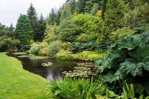 Attadale Gardens, Strathcarron, Scotland - The Water Garden (III) by Rosarian49 on Flickr.