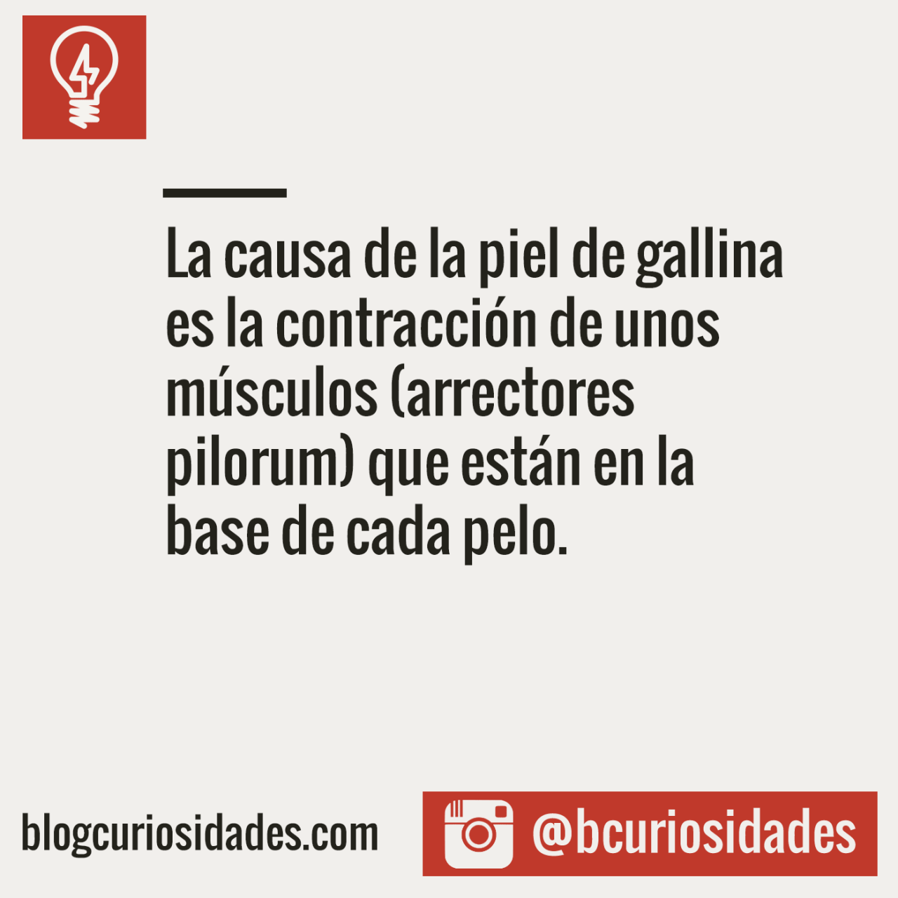 curiosidads:  Blog Curiosidades Facebook: fb.com/bcuriosidad || Instagram:http://bit.ly/1MRuLmq