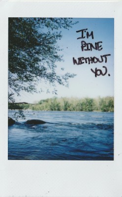 haleyincarnate:  I’m fine without you.4/24/2016 (59/?)