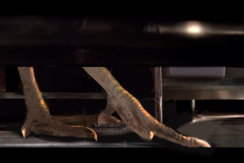 gallusrostromegalus: tealdearest: lizzywhimsy: Jurassic Park with Chickens… Gallus Park? 
