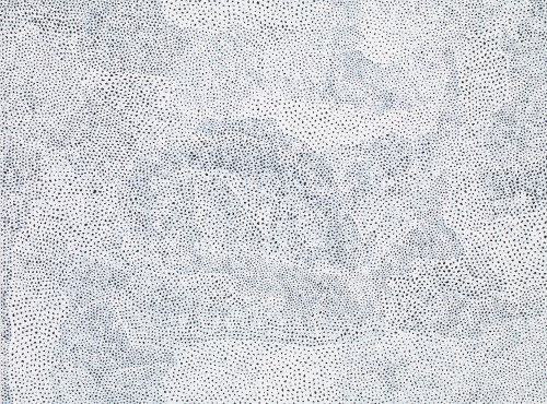 Yayoi Kusama, Infinity Nets