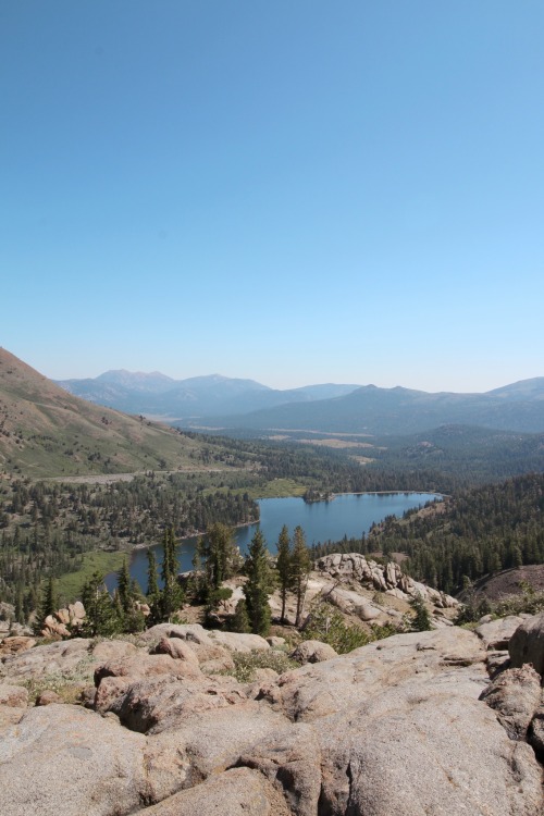 The difference from July to October of Hope Valley and Red Lake. Now Red Lake has been a favorite sp