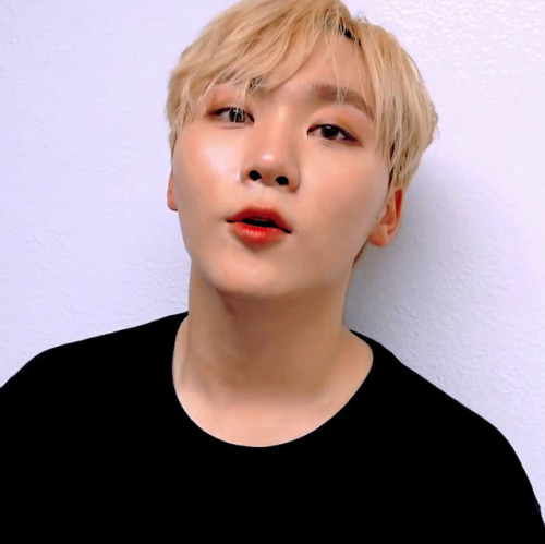  ❝ seungkwan icons ❞ like or reblog or © favstro on twt ๑՞.request here !! 