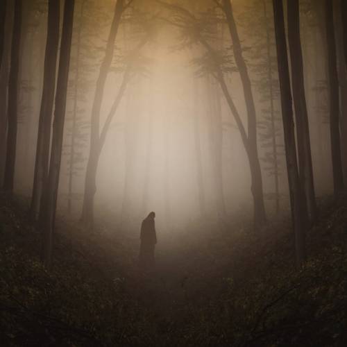 Solitude #mystery #surreal #art #photography #forest #forestmagic #ghost #haunted #fantasyart #natur