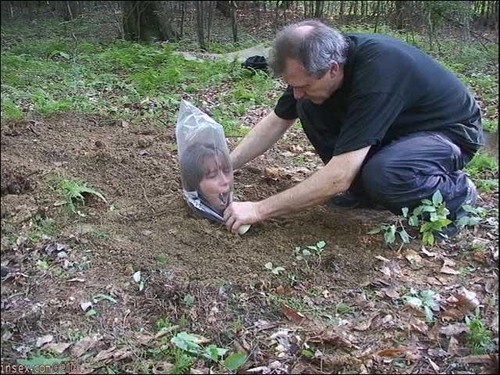 ambers-obsession:  tibets:  remember when i dug a hole and put myself in it because