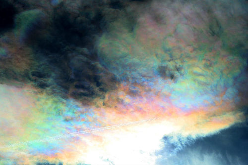 opticallyaroused:  awkwardsituationist:  cloud iridescence — caused as light diffracts through tiny ice crystals or water droplets of uniform size, usually in lenticular clouds — photographed by rolf kohl. (more cloud pics)  