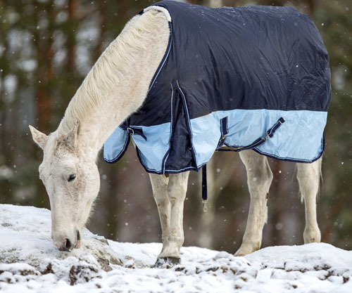 teapotsahoy:equine-awareness:New Study Shows Horses Can Communicate Their Blanketing PreferencesBlan