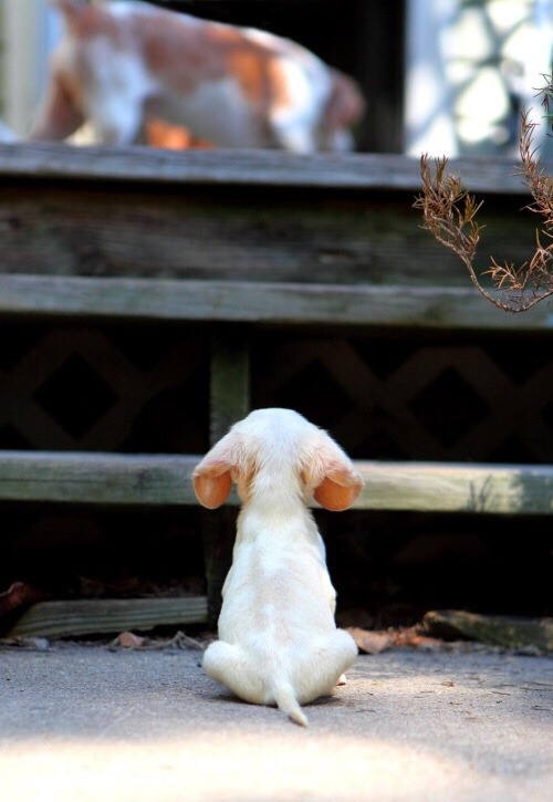 Pinterest • The world’s catalog of ideas www.pinterest.com