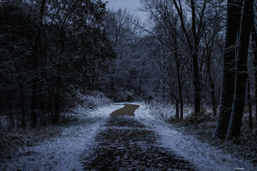 garettphotography:Winter Arrives | GarettPhotography