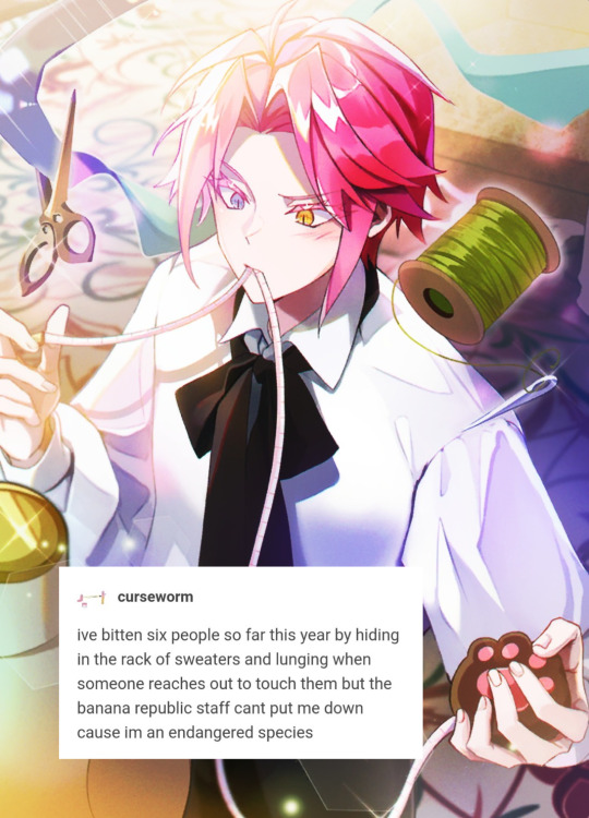 Tumblr media