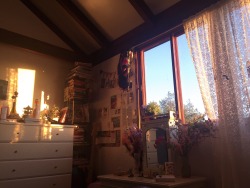 mtvgeneration:  don’t think I’ll ever get sick of the way the light hits my room at sundown 