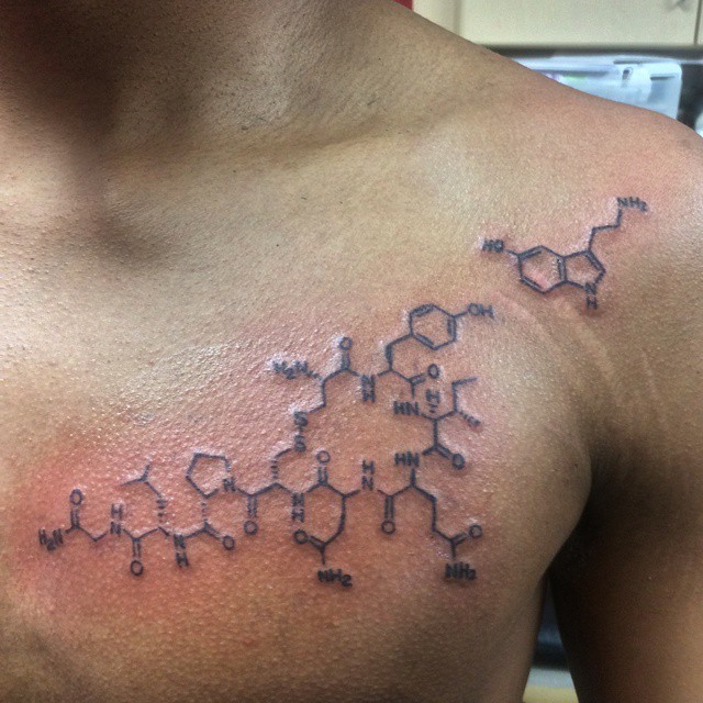 Jade Buddha Tattoo Co. — Oxytocin & serotonin molecular structure tattoo...