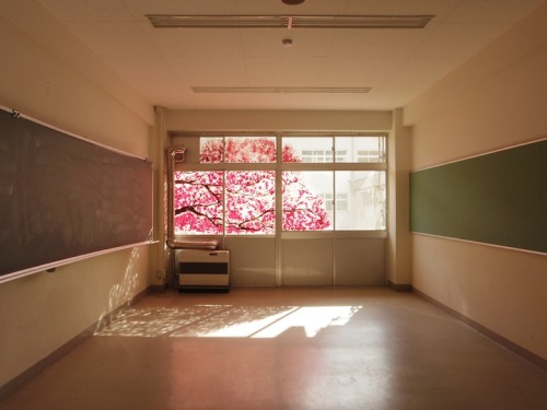 ART: Eerie Cherry Blossom Murals Made with Hand Prints Although at first glance this may look like s