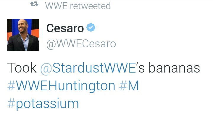 cesarosection:Holy shit Swiss Diddy Kong.