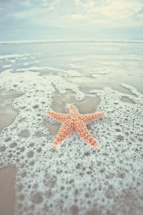 darkw00ds:  sleepwalking | via Tumblr op We Heart It http://weheartit.com/entry/57393608/via/hospitalforsoulss