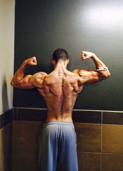 musclepuppysplaypen:  Back + Biceps Day