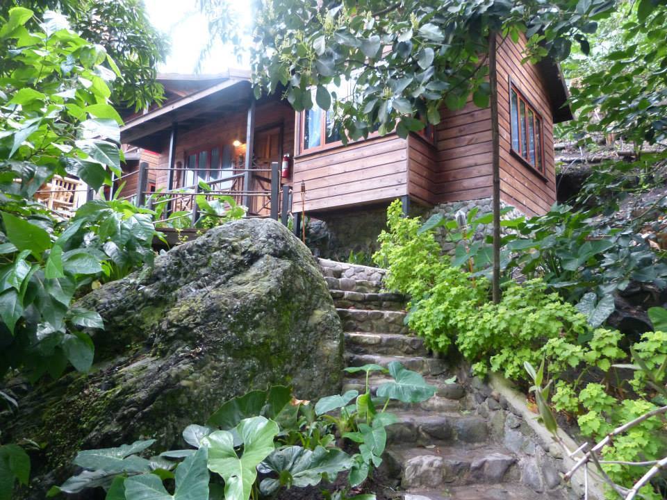 the-sweet-life-ja:  Serendipity Holistic Resort (Irish Town, Kingston, Jamaica) ::
