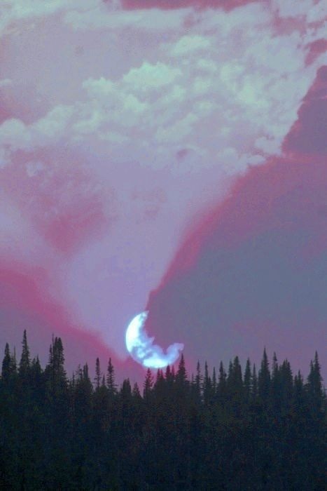We Heart It yoluyla görsel #alone #amazing #beautiful #clouds #dark #earth #evening #forest #free #grunge #indie #light #moon #nature #night #photo #photography #pink #shadow #sky #trees #trippy #wild #woods - https://weheartit.com/entry/165709673