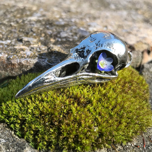 SPRING BIRD SALE!All Bird skull pendants just $35 in Bronze and $95 in Silver. Raven and Hummingbird