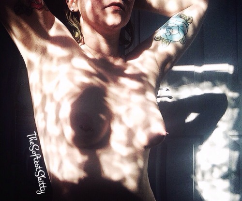 averyconfusingcouple: thesoftestskitty: The light was the prettiest through the window, when I got