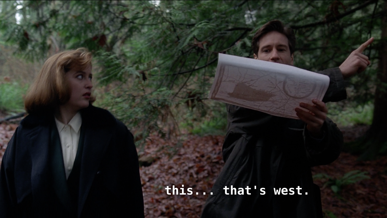 xfileslesbian:  sassy bunnies   Spoopy