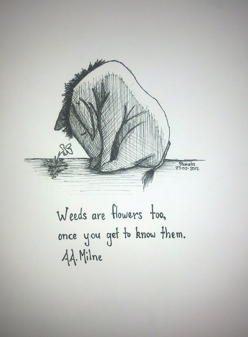 alishalovescats1701:  crimsonclad:  five-boys-with-accents:  Eeyore is just one of
