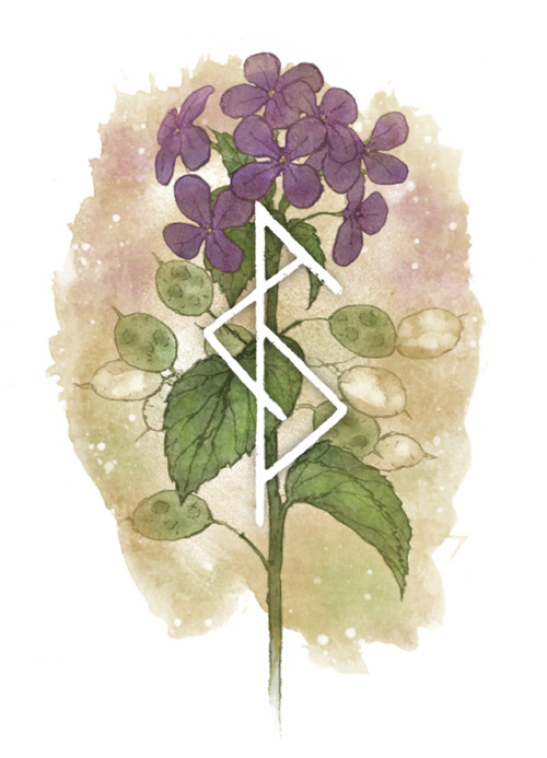 Botanical bind rune inspired by lunaria annua - lunaria (moon-like) + annua (yearly) with laguz and 